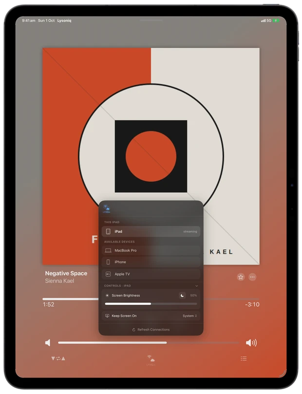 Lysoniq on iPad — choosing the streamer from Now Playing